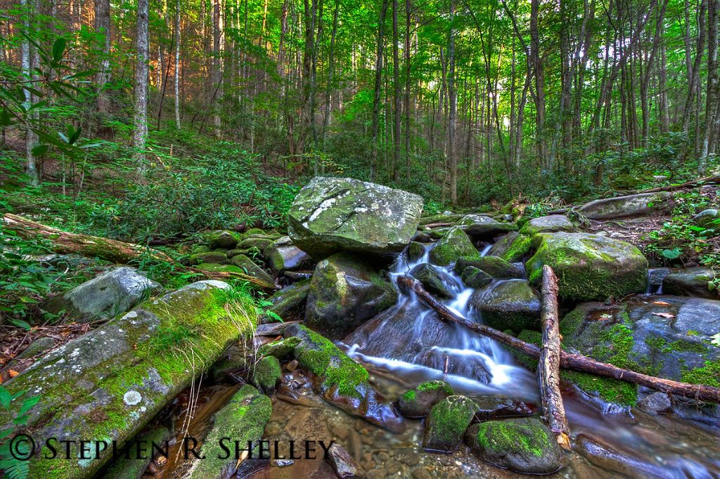 Smokey Mountain National Park