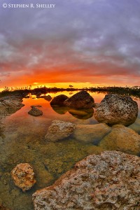 Pine Glades Lake