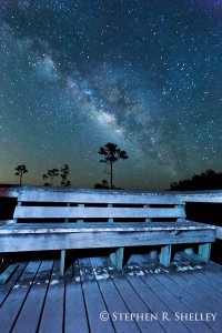 Everglades Milky Way