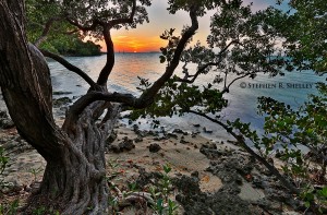 Florida Bay Sunset Hilton