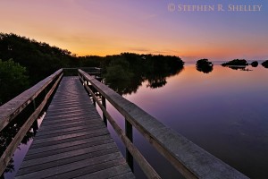 Snakebight Boardwalk Sunrise